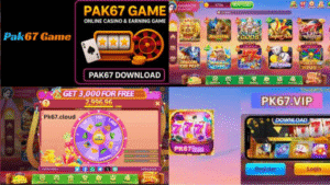 Pak67 Real Money Game – Official APK Download for Android 1